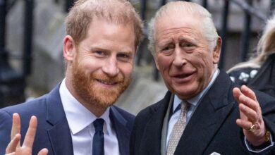 The truth behind King Charles and Prince Harry's 2025 reunion chat