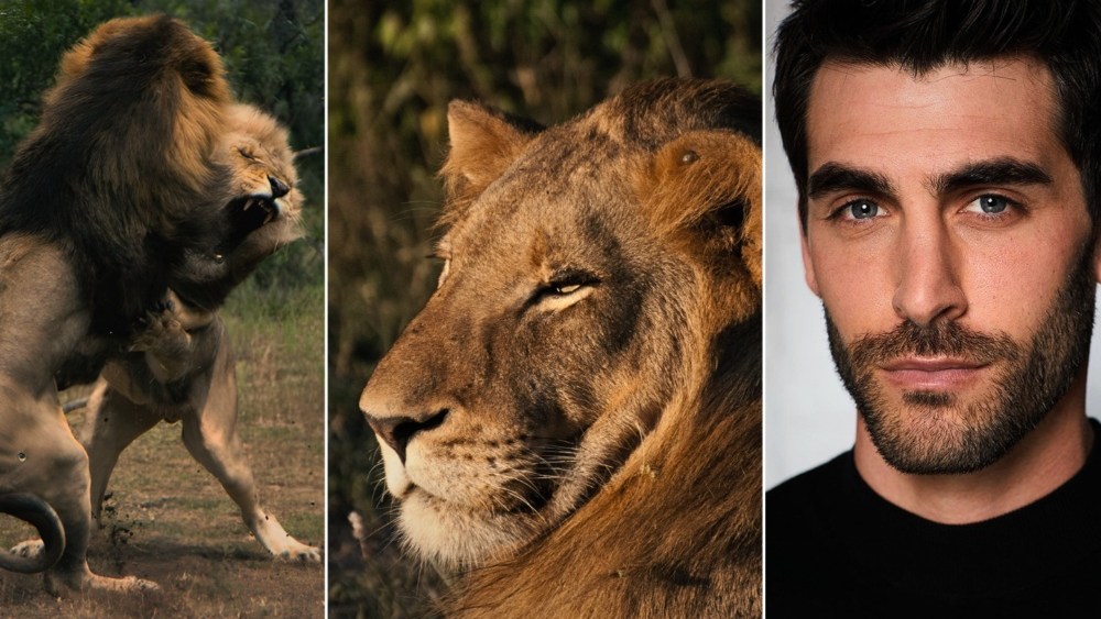 The vertical documentary series The Lion Throne takes place in FlareFlow