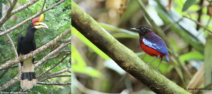Tourism Malaysia takes flight at Global BirdFair 2026 | News