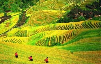 Trip.com Group spotlights Guilin as demand for experiential and cultural travel grows in China | News