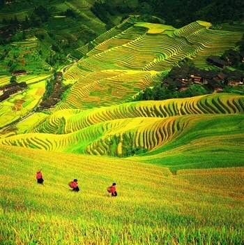 Trip.com Group spotlights Guilin as demand for experiential and cultural travel grows in China | News
