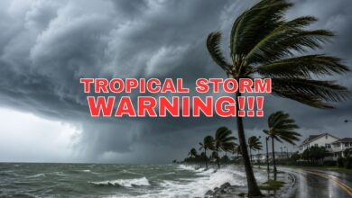Tropical Storm Arthur Warning Issued for Texas, Louisiana, Alabama and Other States as Conditions Worsen