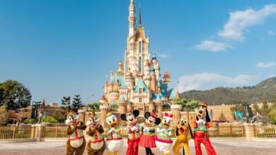 Wego and Hong Kong Tourism Board team up to inspire travel all year round | News