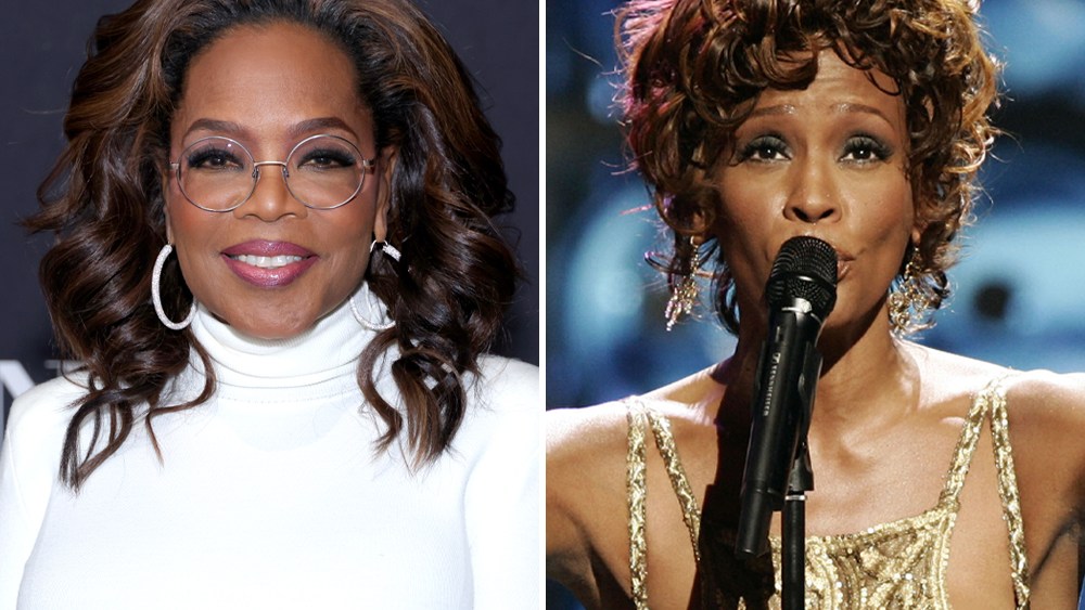 Whitney Houston fell off the stage and begged the audience not to leak