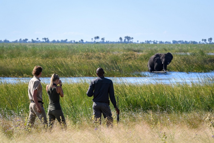 Why Botswana is Africa's most exclusive safari | News