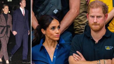 Why Harry and Meghan are furious about the British security measure