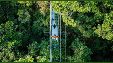 Costa Rica: Monteverde unveils country's first-ever glass suspension bridge | News