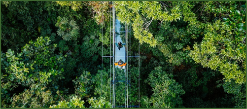 Costa Rica: Monteverde unveils country's first-ever glass suspension bridge | News