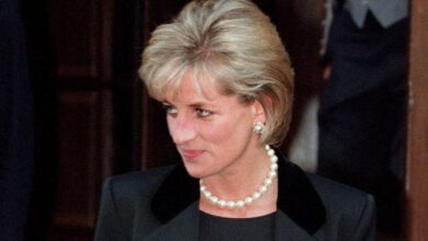 Diana's bodyguard believed that the Secret Service caused her crash