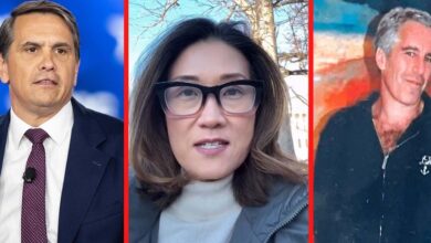 Ex-MSNBC's Katie Phang Asks Judge to Fine Todd Blanche Over Epstein Files