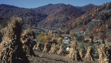 FX to Develop Series About National Park Volunteer Rescue Squad