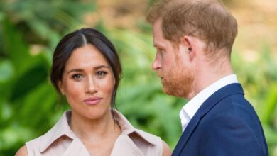 Harry and Meghan 'Subjected to Body Search' Before King Charles Reunion