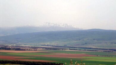 Israel invests ILS 13 million to help agrotourism flourish in the north | News