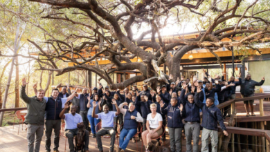 JACI'S PRIVATE LODGE REOPENED IN MADIKWE, BUILT FOR THE NEXT 25 YEARS | News