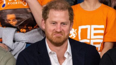 Prince Harry Savaged Over Claim His Full-Time Job is 'Prince of England'
