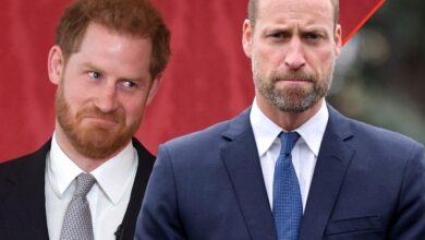 Prince William 'Has Now Totally Cut Off Harry'