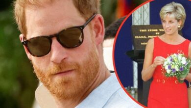 Princess Diana's Secret Tapes Include Warning for Prince Harry's Bride