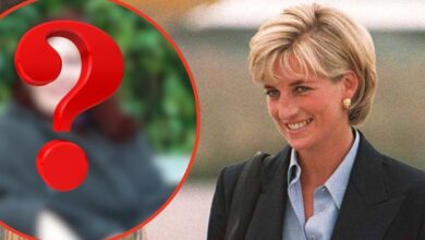 Princess Diana's spiritualist revealed the late Royal's final secrets