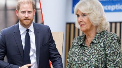Read the four harsh words Prince Harry wrote about Queen Camilla