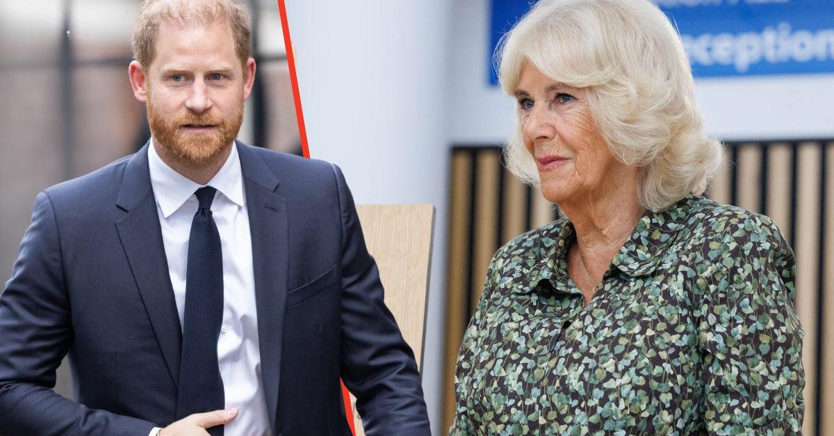 Read the four harsh words Prince Harry wrote about Queen Camilla